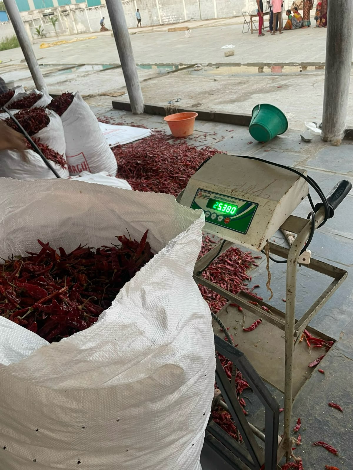 Red chilli weighing process